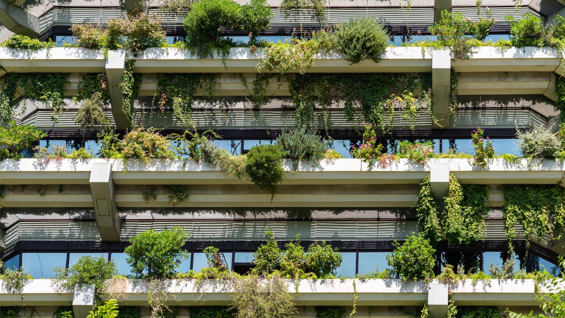 EVORA Global Beyond Bricks