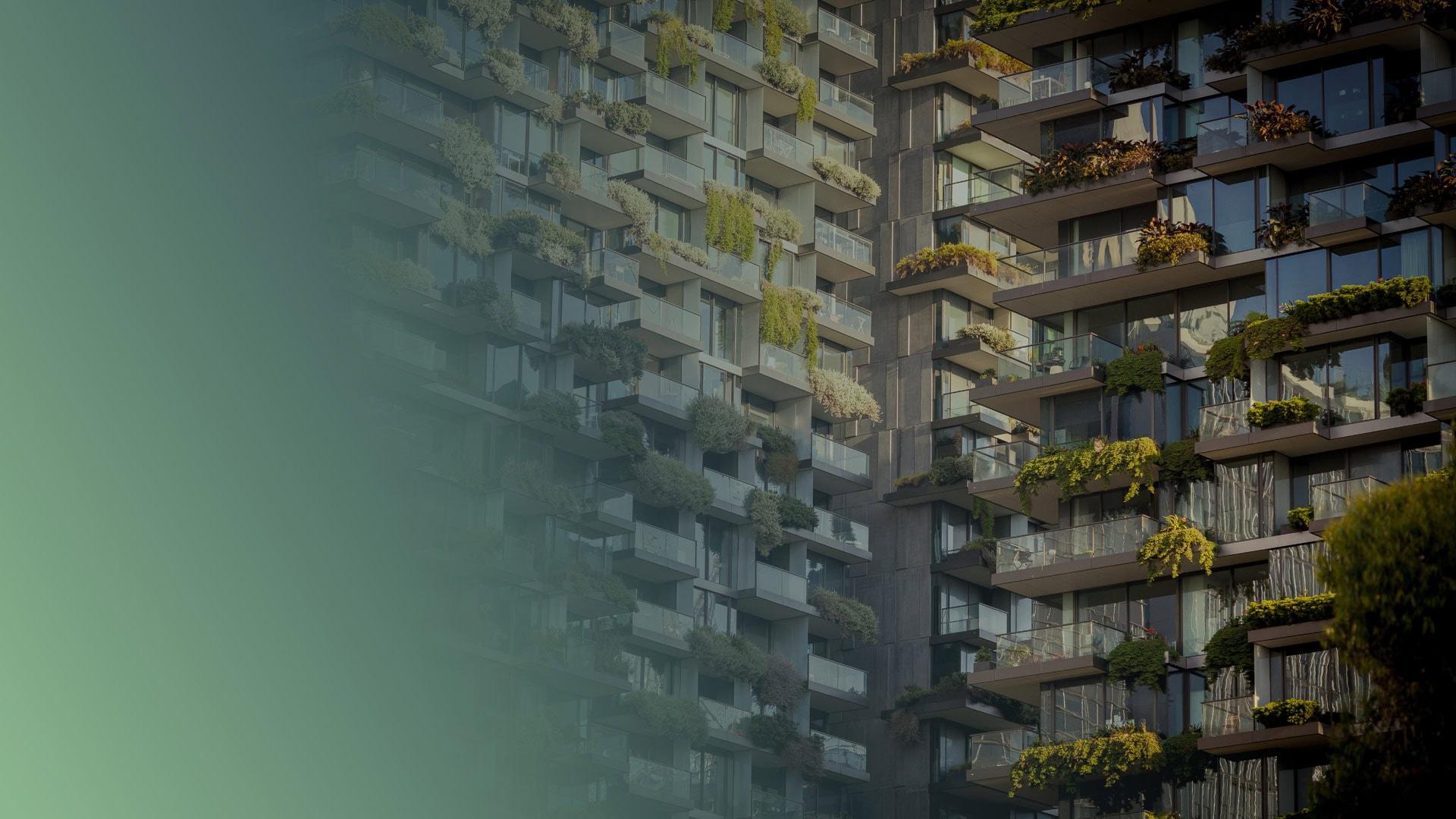 EVORA Global Net Zero